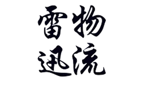 雷迅物流 Logo